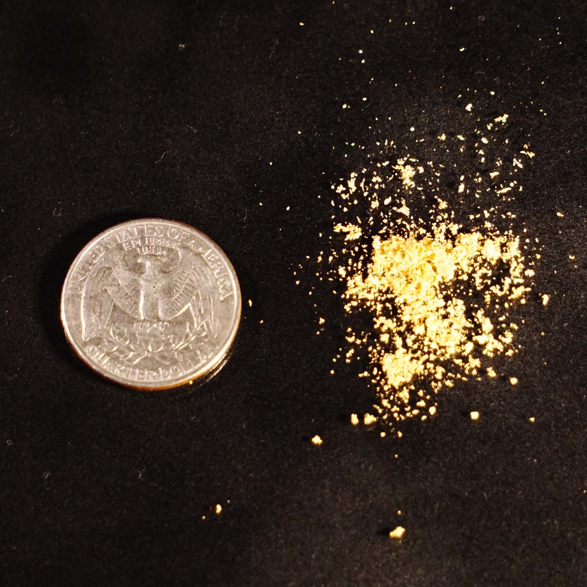  Edible Gold Dust Powder (200mg) / with Shaker