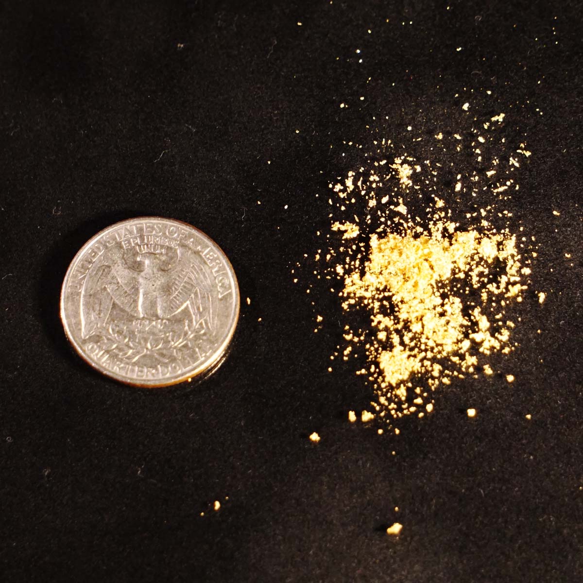 24K Edible Gold Powder