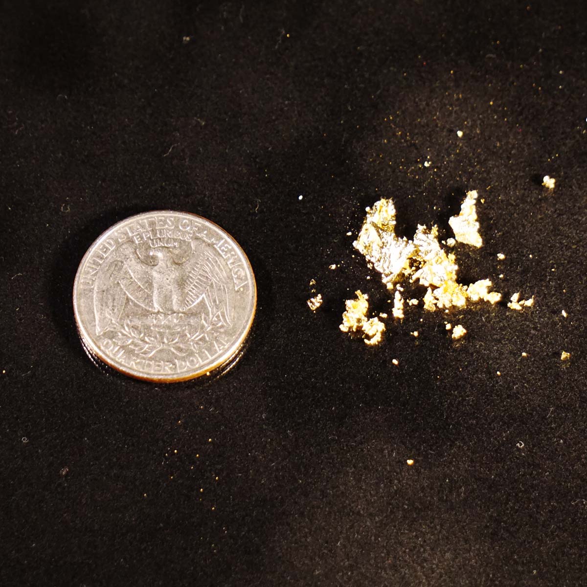 23.5K Gold Flakes (Small) — L.A. Gold Leaf Wholesaler U.S.